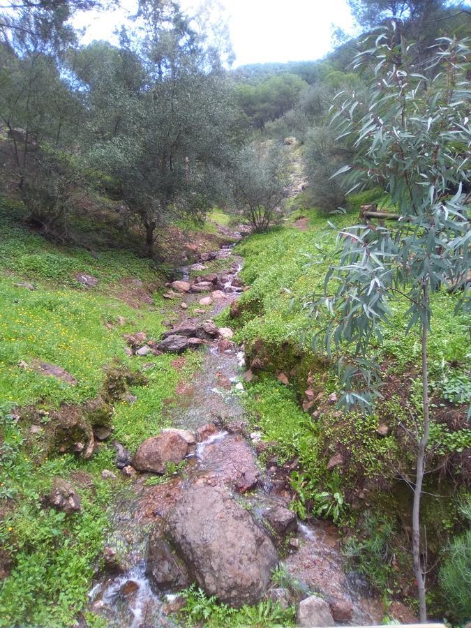 Casa Rural La Barandilla Affittacamere Villafranca de Córdoba Esterno foto