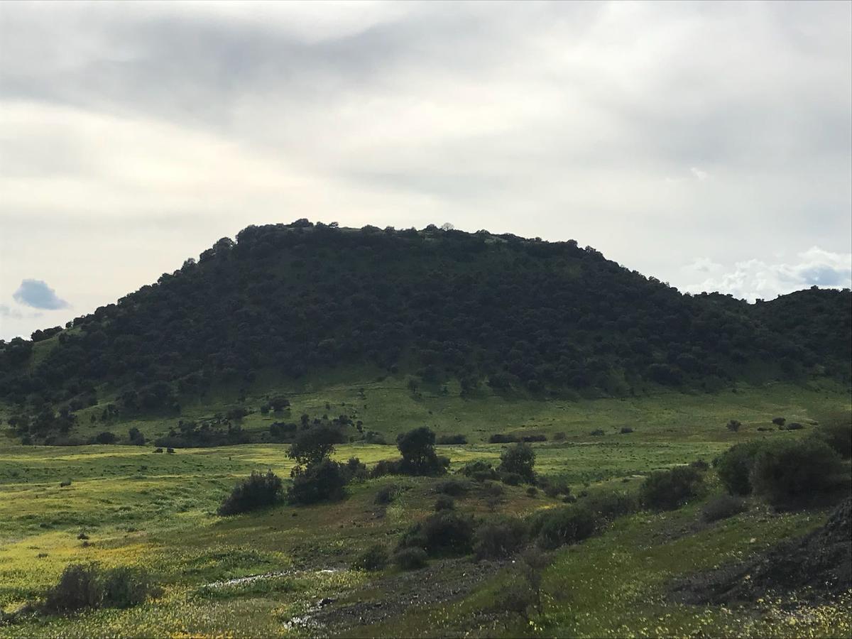 Casa Rural La Barandilla Affittacamere Villafranca de Córdoba Esterno foto